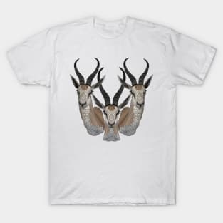 Spring Bucks T-Shirt